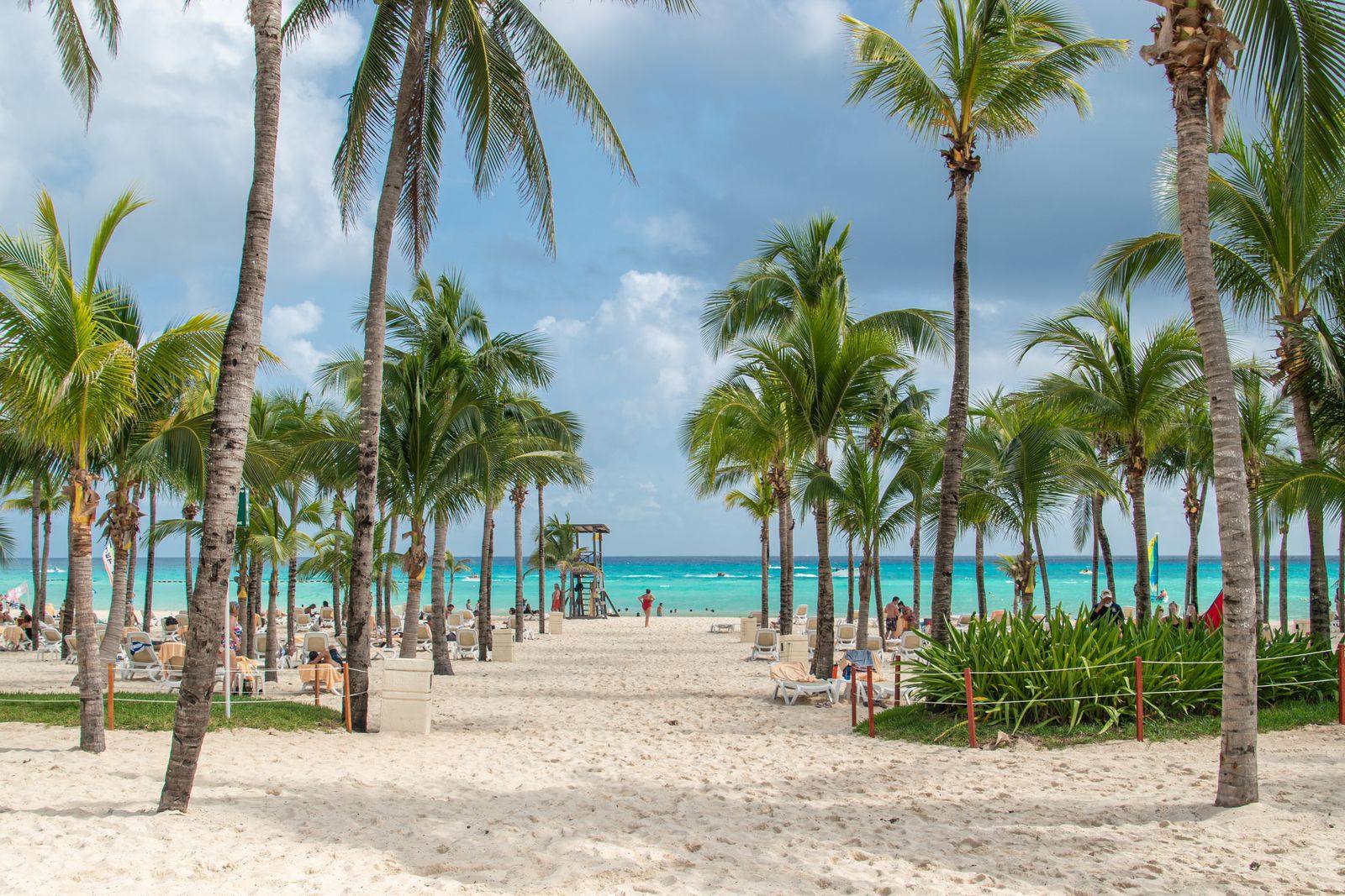 Palm trees and white sand leading down to turquoise water on a beach in Playa del Carmen