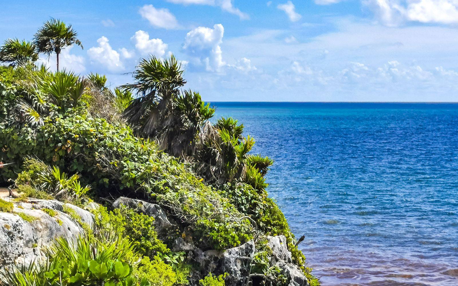 Palm trees and green plants on a rocky limestone cliff above the blue Caribbean Sea at the Tulum ruins site