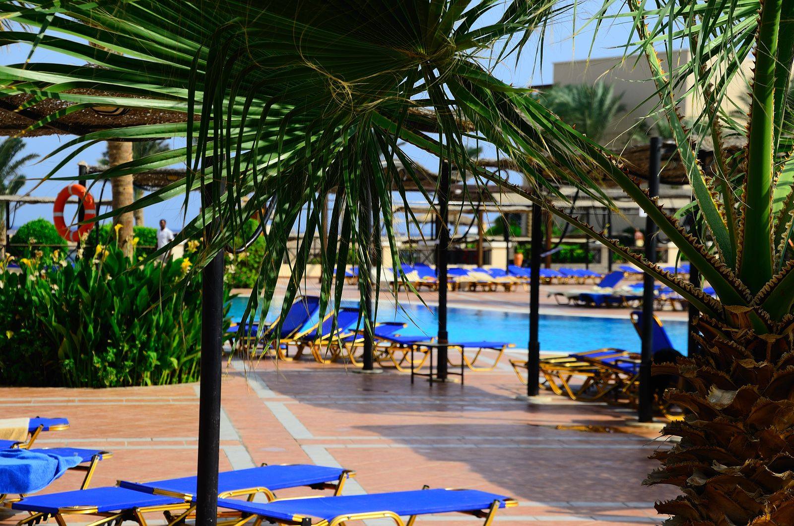 Hotel pool deck with blue sun loungers, a life ring and palm fronds in the foreground