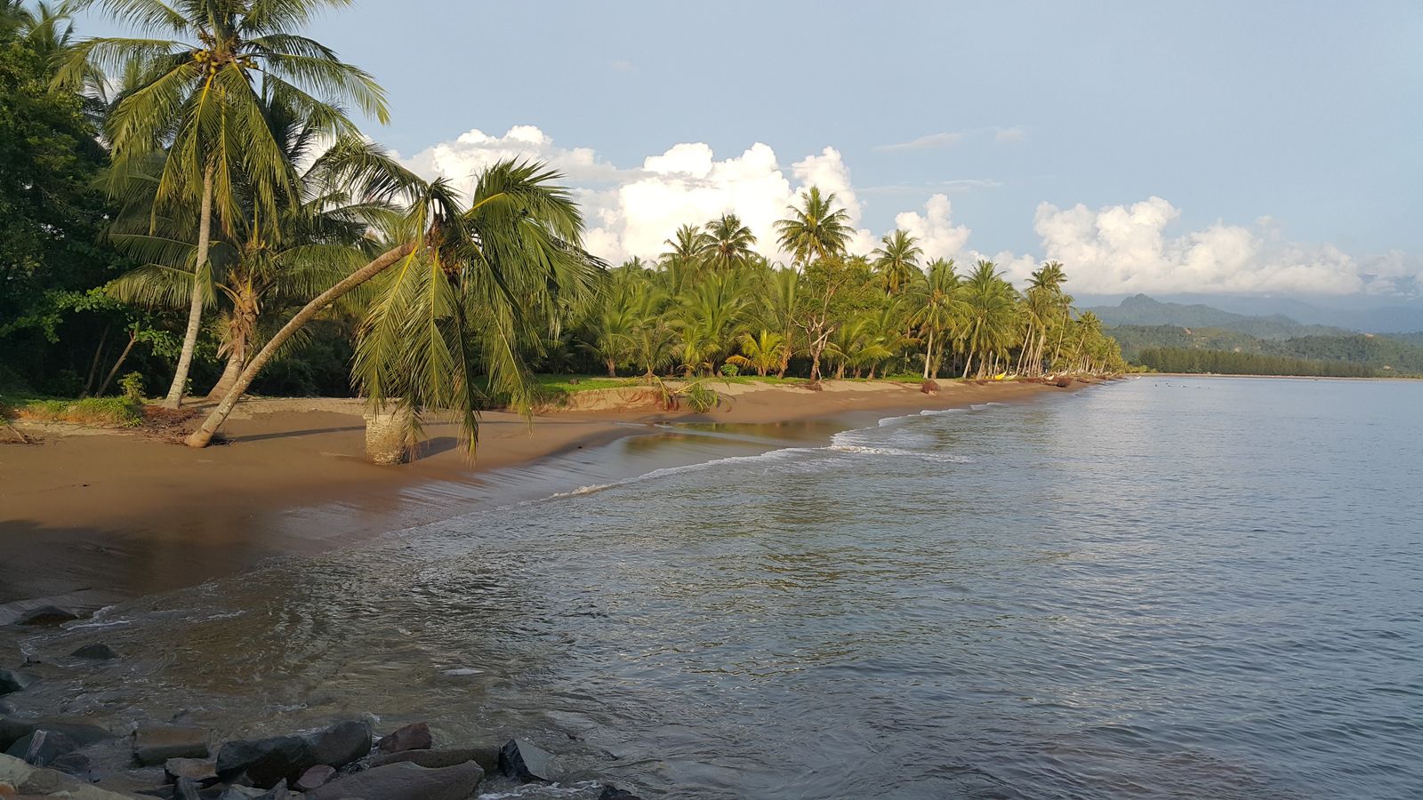 A curving palm-lined bay with calm water and green hills along the shore