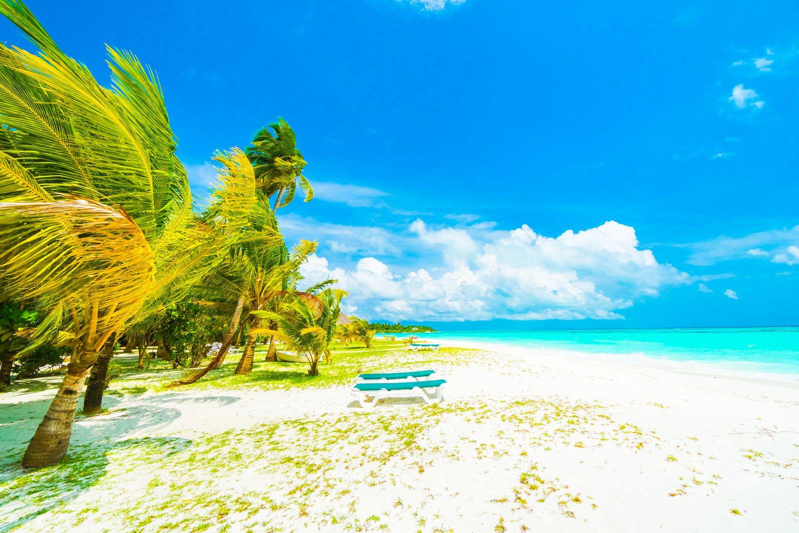 Two beach loungers on white sand under wind-bent palm trees, with turquoise water beyond