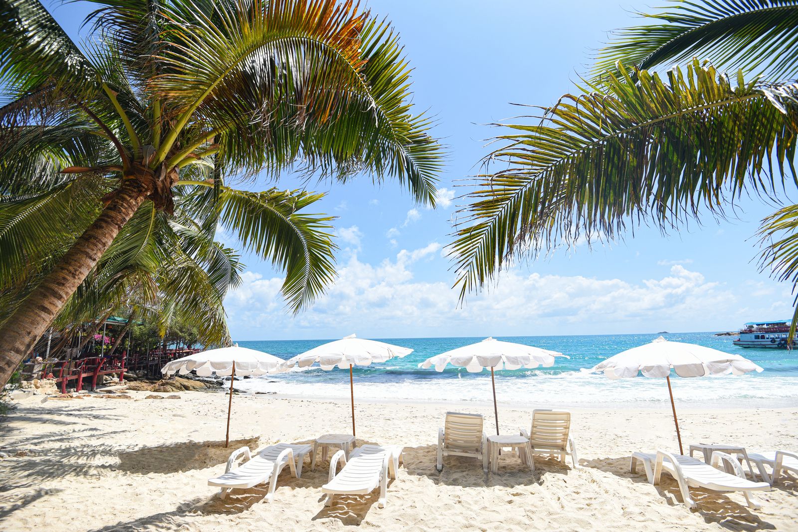 White umbrellas and loungers on a white sand beach framed by palm trees, with turquoise sea beyond