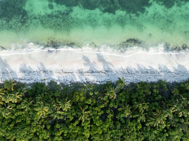 Aerial view of the coast at Boca Paila near Tulum: turquoise water, white surf, a strip of beach and dense green jungle