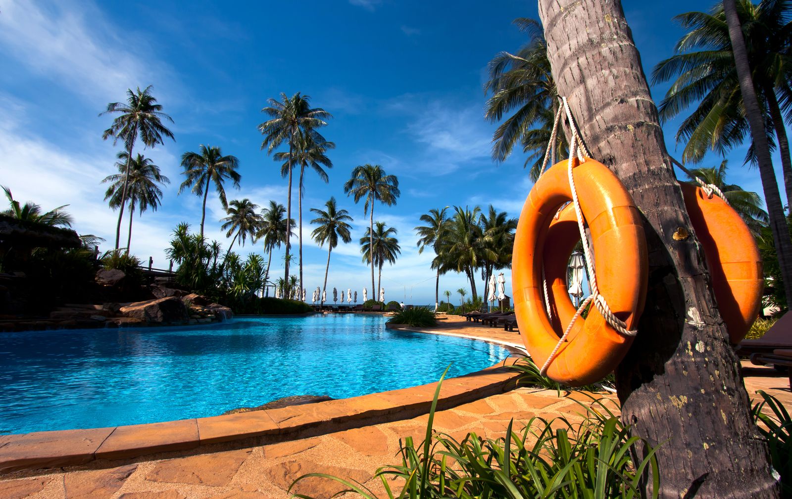 Resort swimming pool ringed by palm trees, with orange life rings hanging on a palm trunk under a blue sky