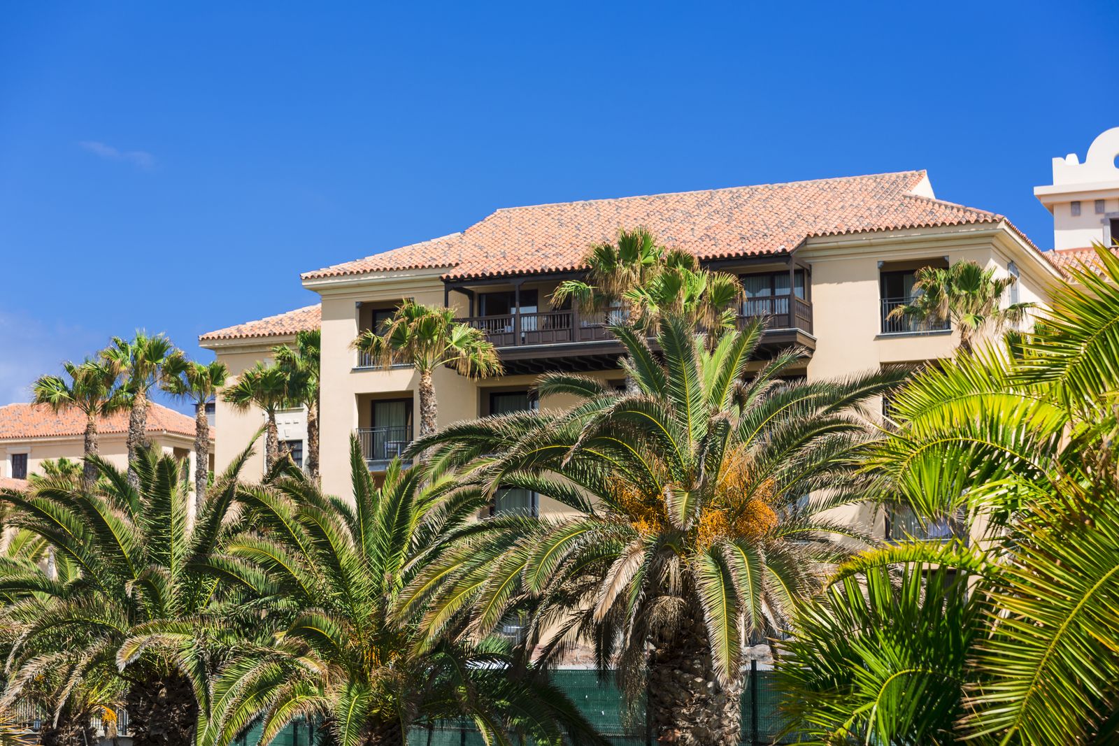 Three-story resort building with a terracotta tile roof behind tall palm trees under a blue sky