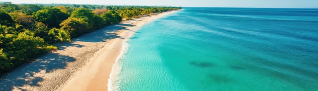 Aerial view of a curving sandy beach, green trees and shallow turquoise water in Puerto Plata